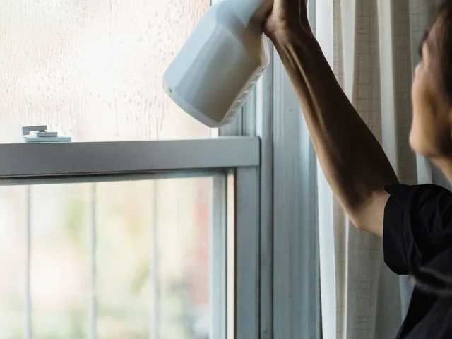 Professional cleaning a home